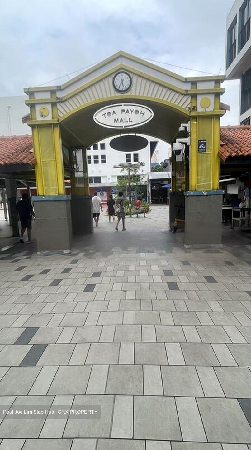 Blk 186 Toa Payoh Central (Toa Payoh), HDB 3 Rooms #482012261